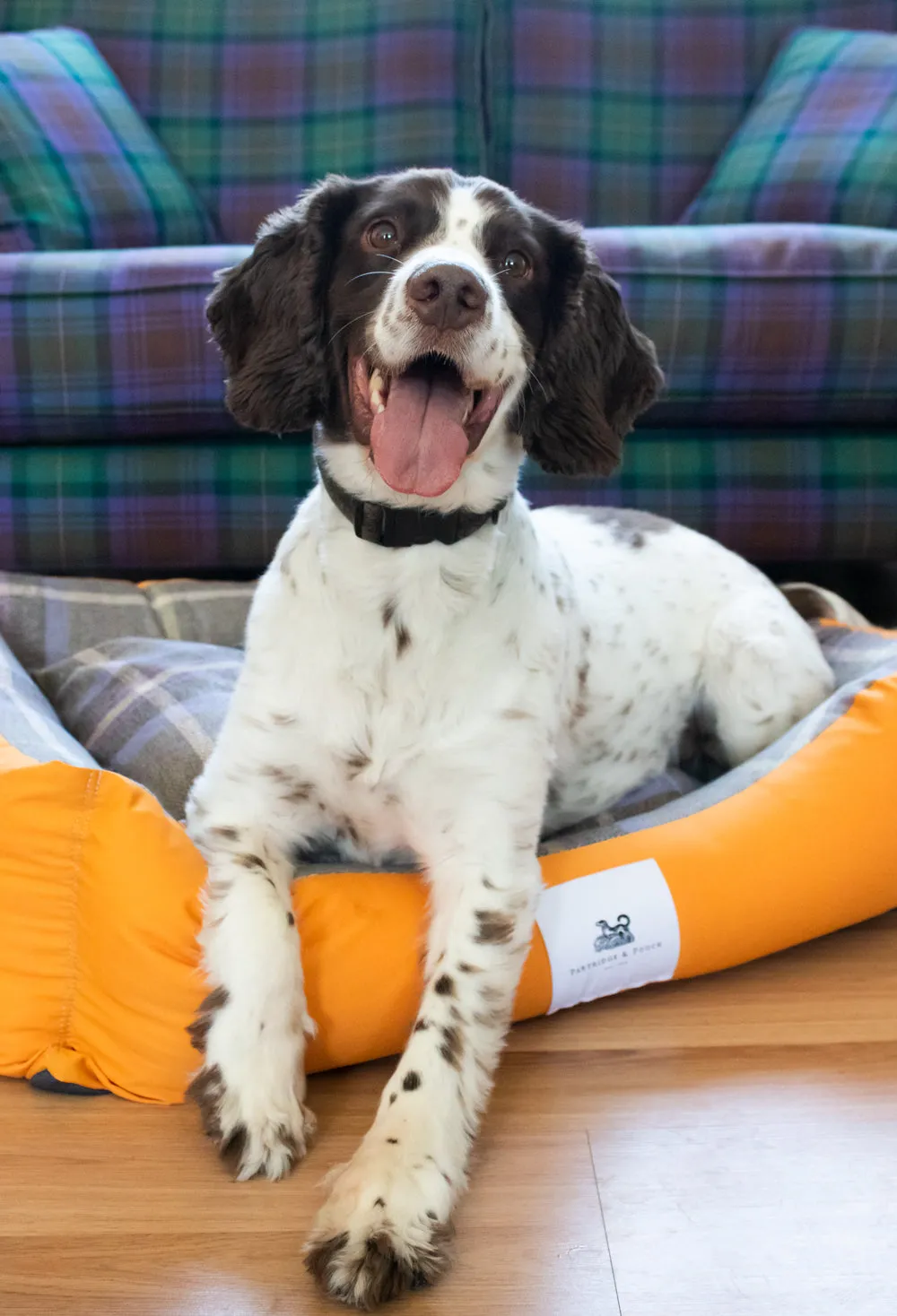 Amherst 2 in 1 Dog bed - Butterscotch Yellow with Blue Check