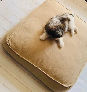 Beige Boxedge Cushion Floor Pillows, Floor Cushion Cover