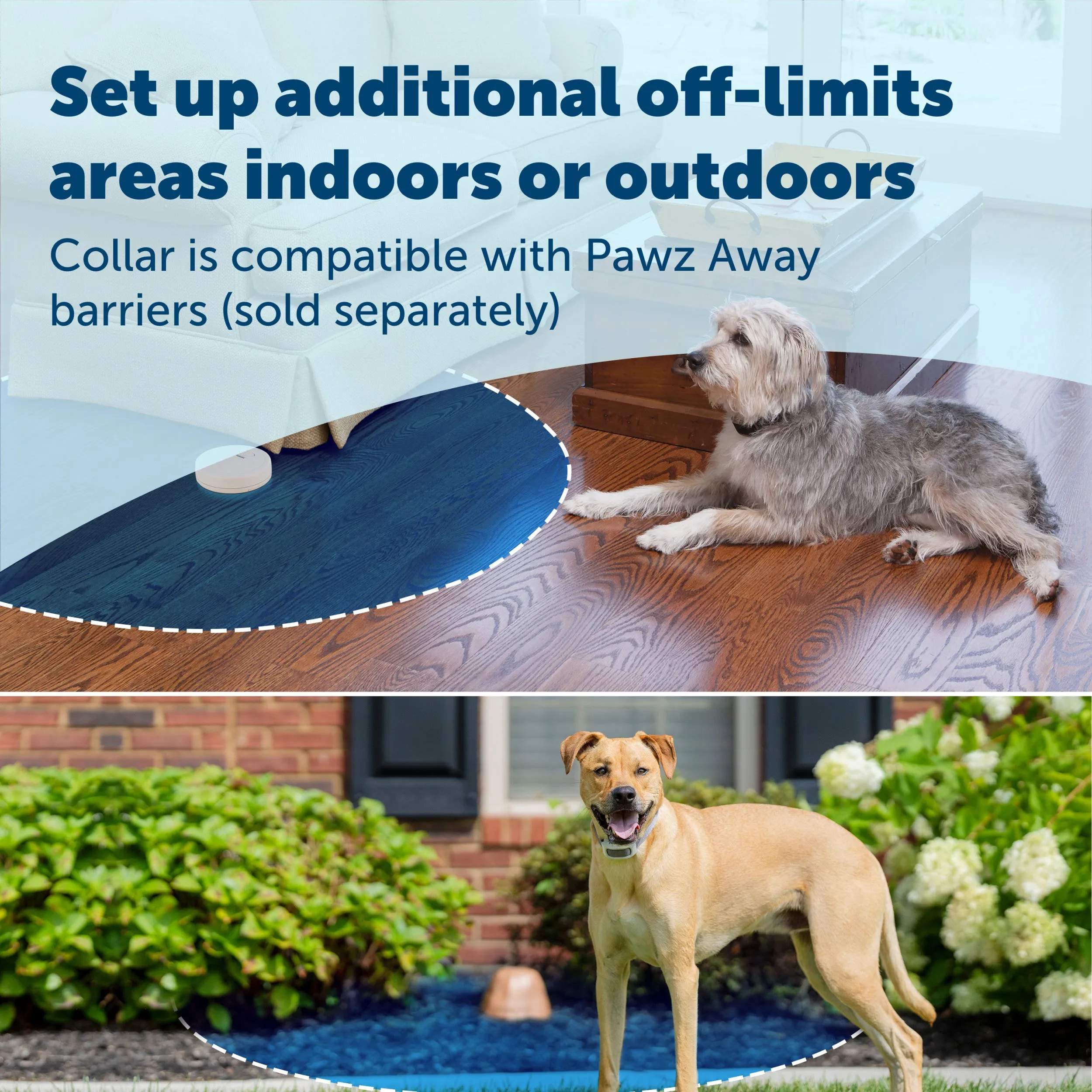 Classic In-Ground Fence™, 2 Dog
