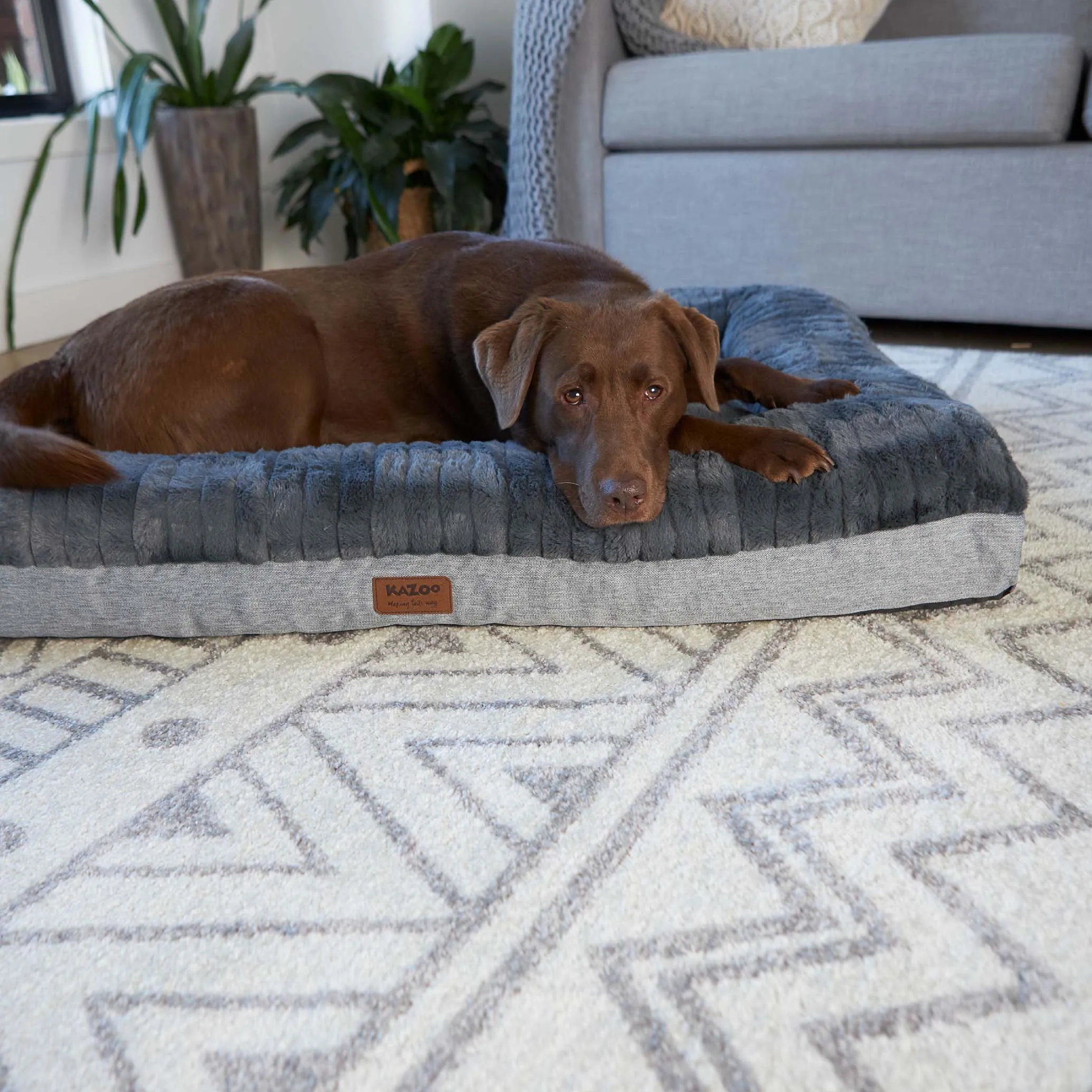 Cloud Comfort Dog Bed - Charcoal & Grey