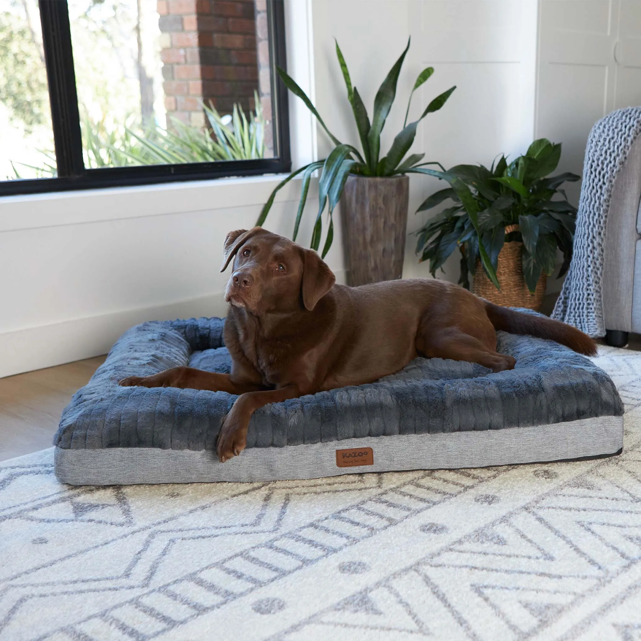 Cloud Comfort Dog Bed - Charcoal & Grey
