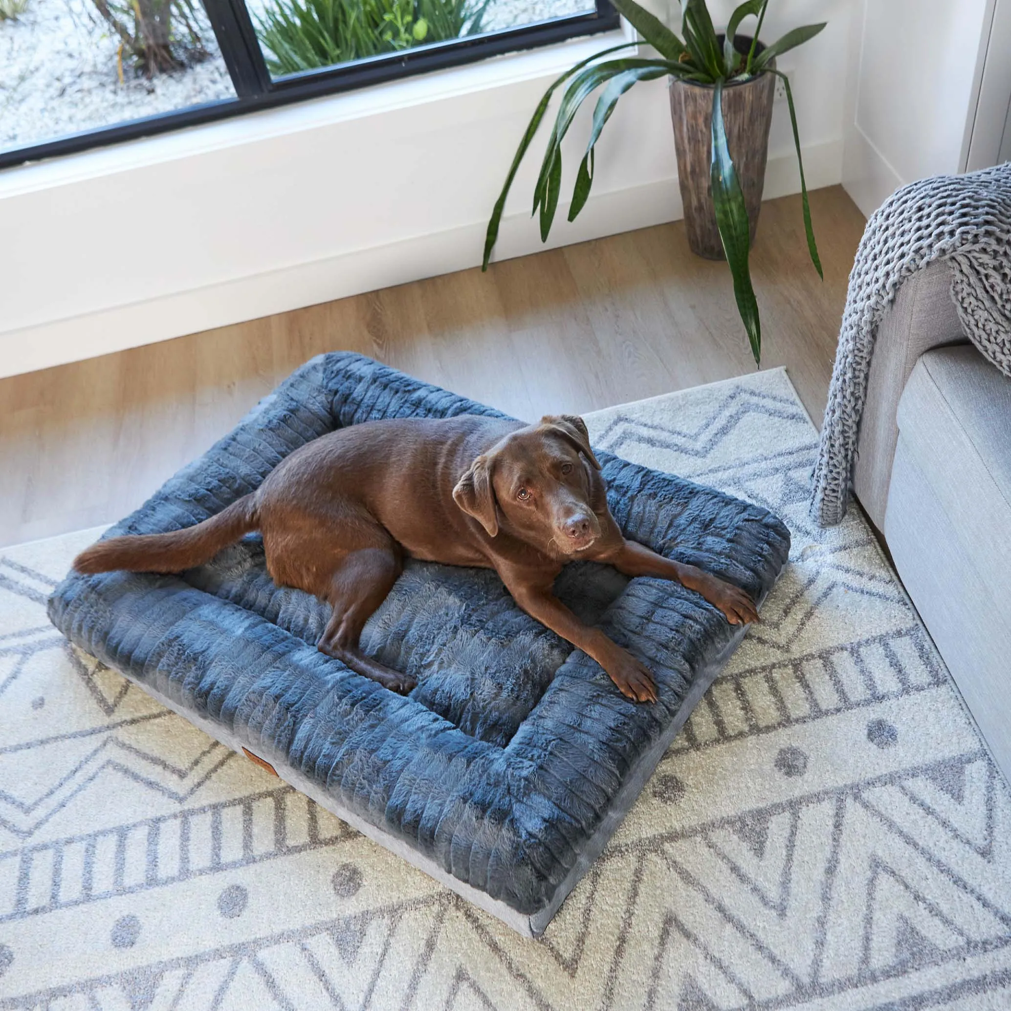 Cloud Comfort Dog Bed - Charcoal & Grey