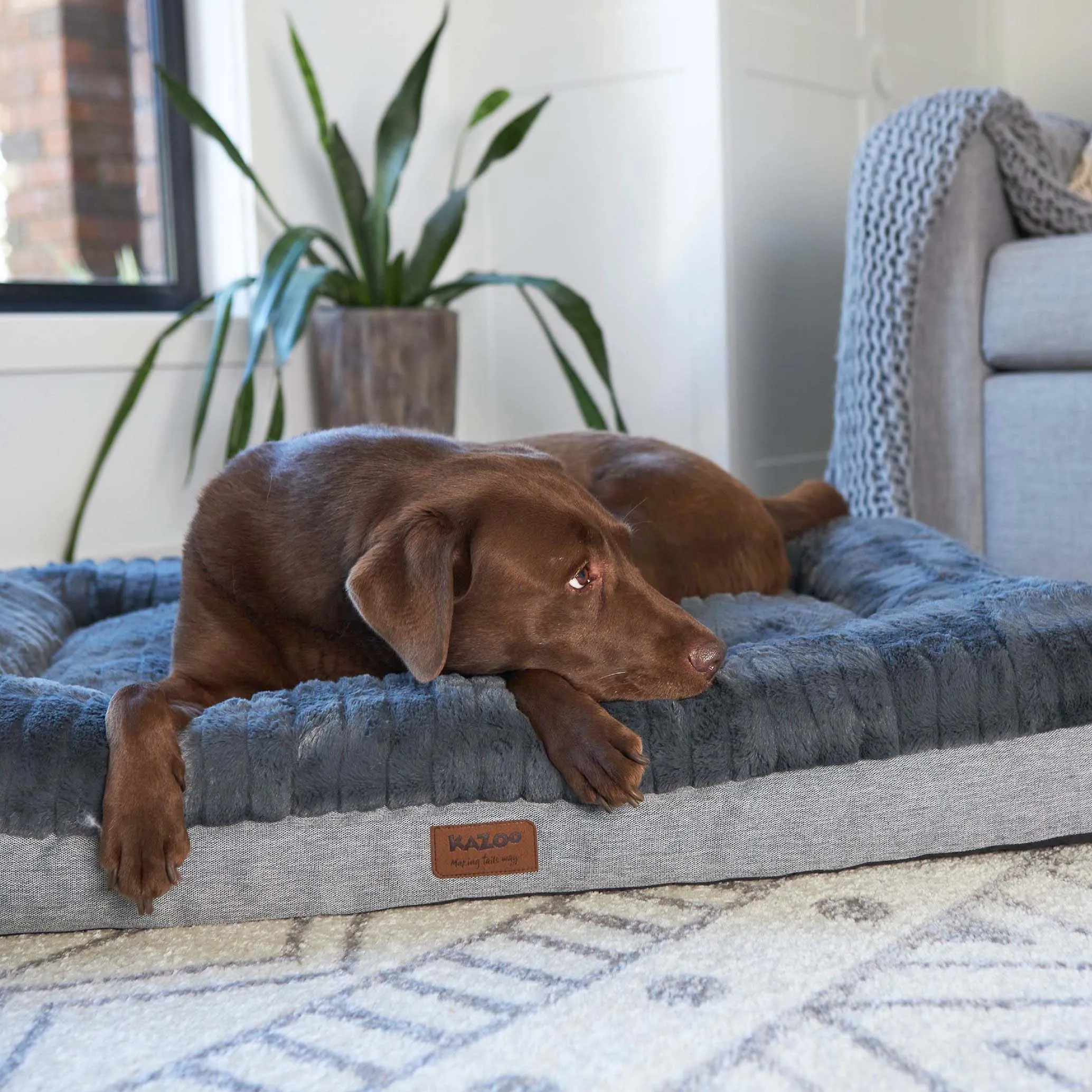 Cloud Comfort Dog Bed - Charcoal & Grey