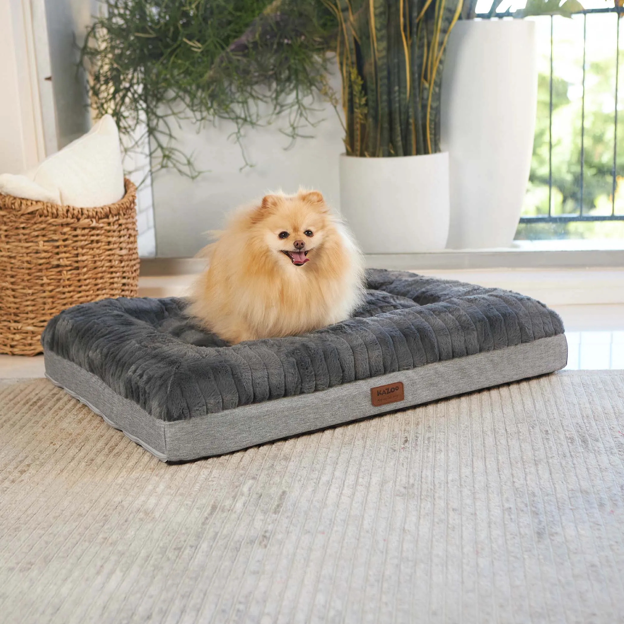 Cloud Comfort Dog Bed - Charcoal & Grey