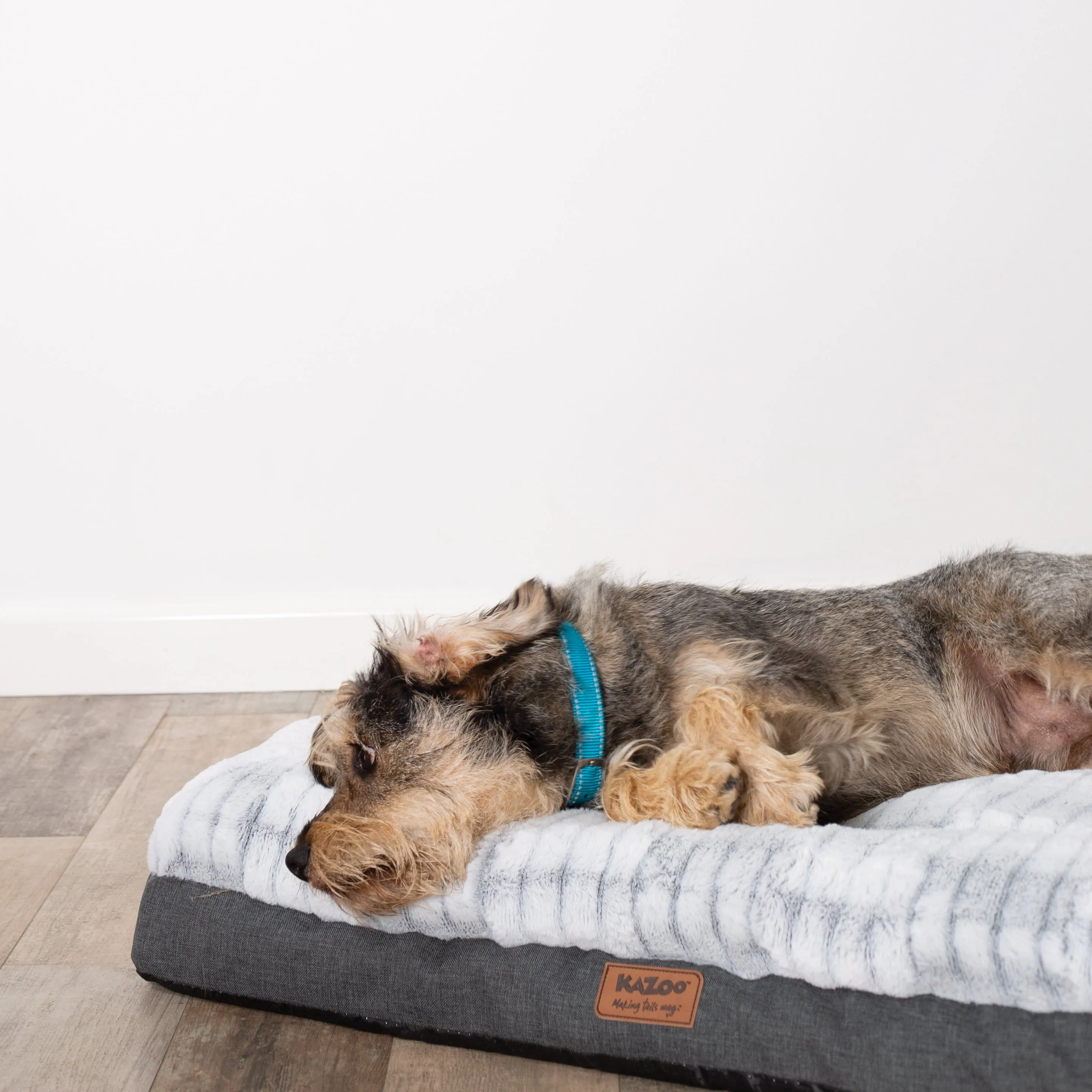 Cloud Comfort Giant Dog Bed