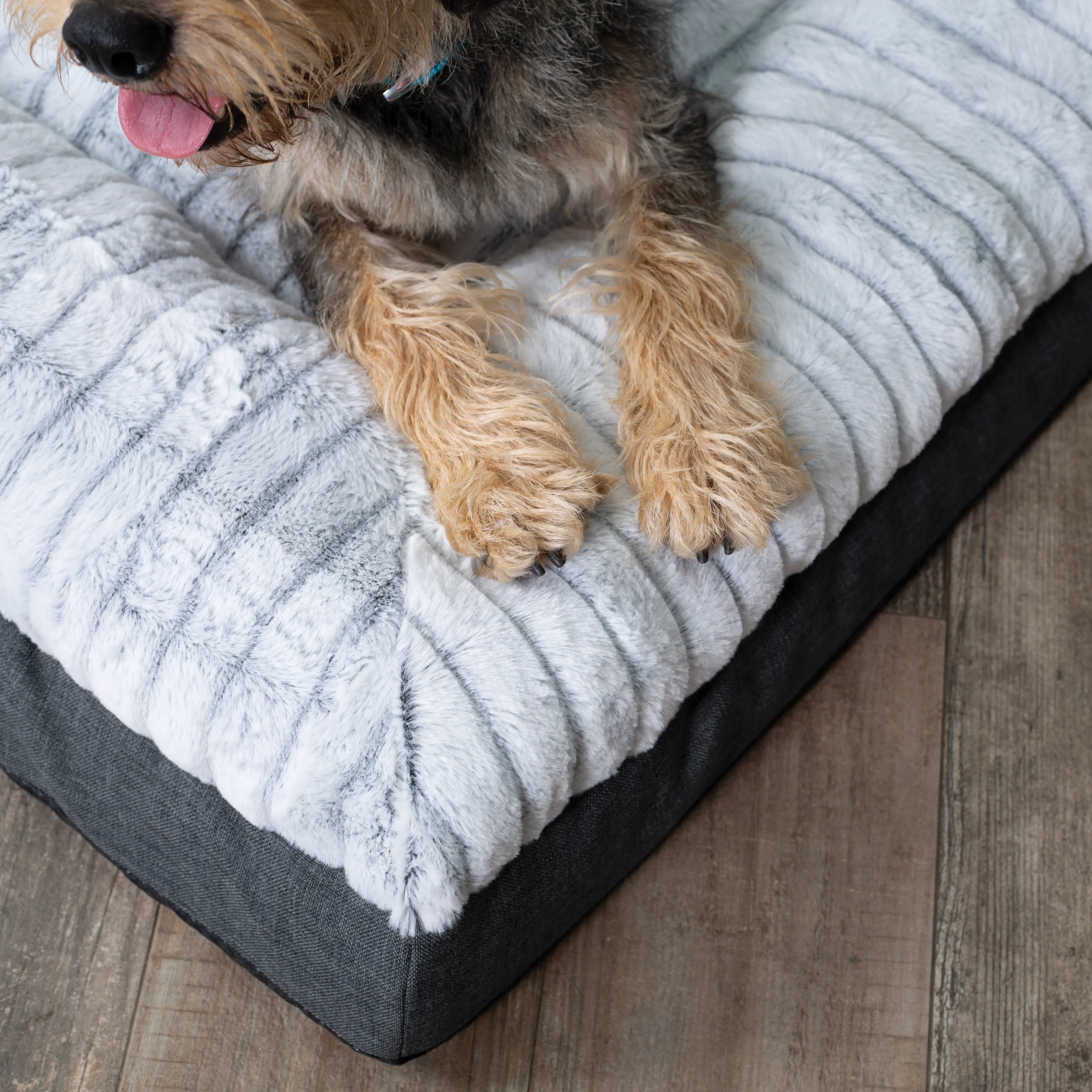 Cloud Comfort Giant Dog Bed