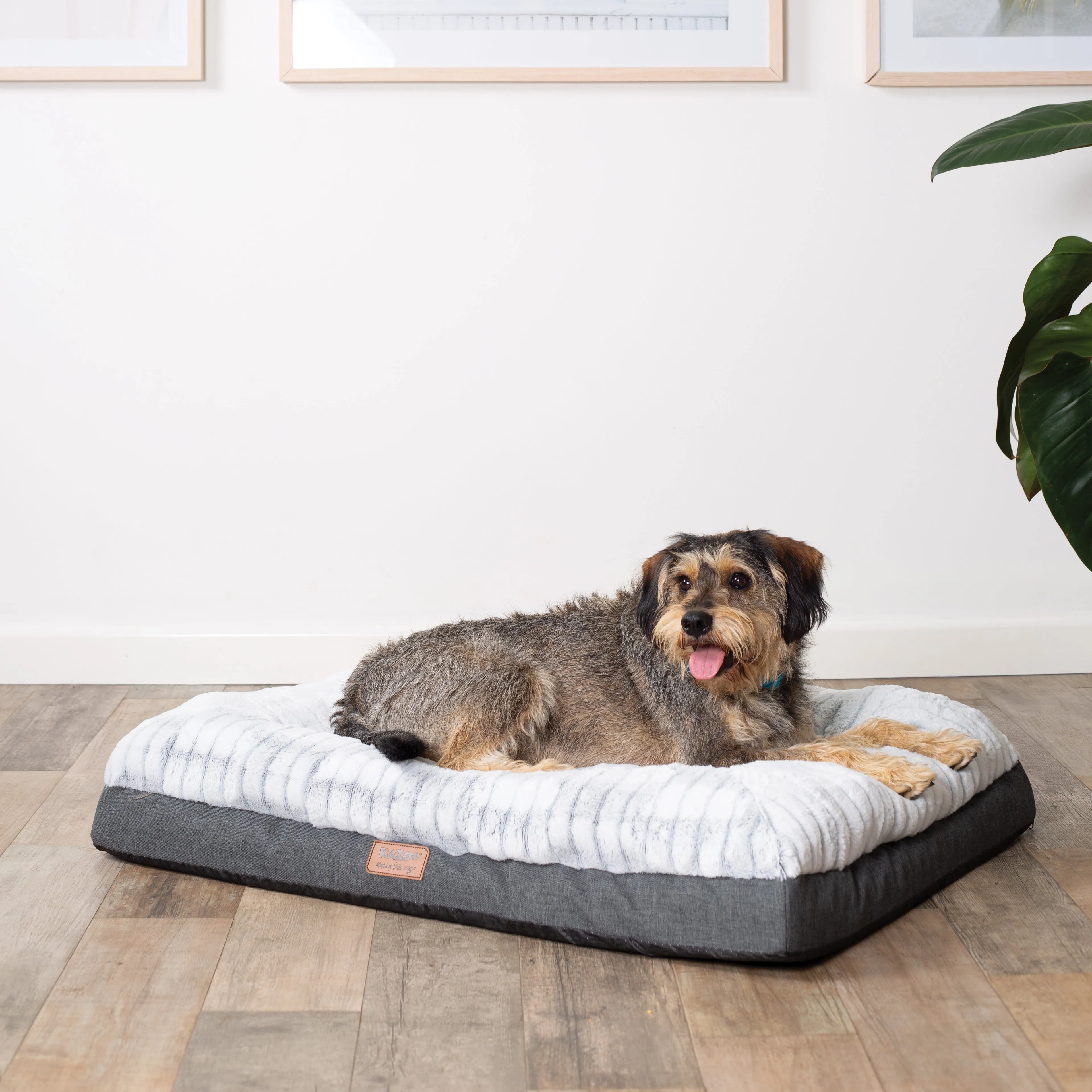 Cloud Comfort Giant Dog Bed