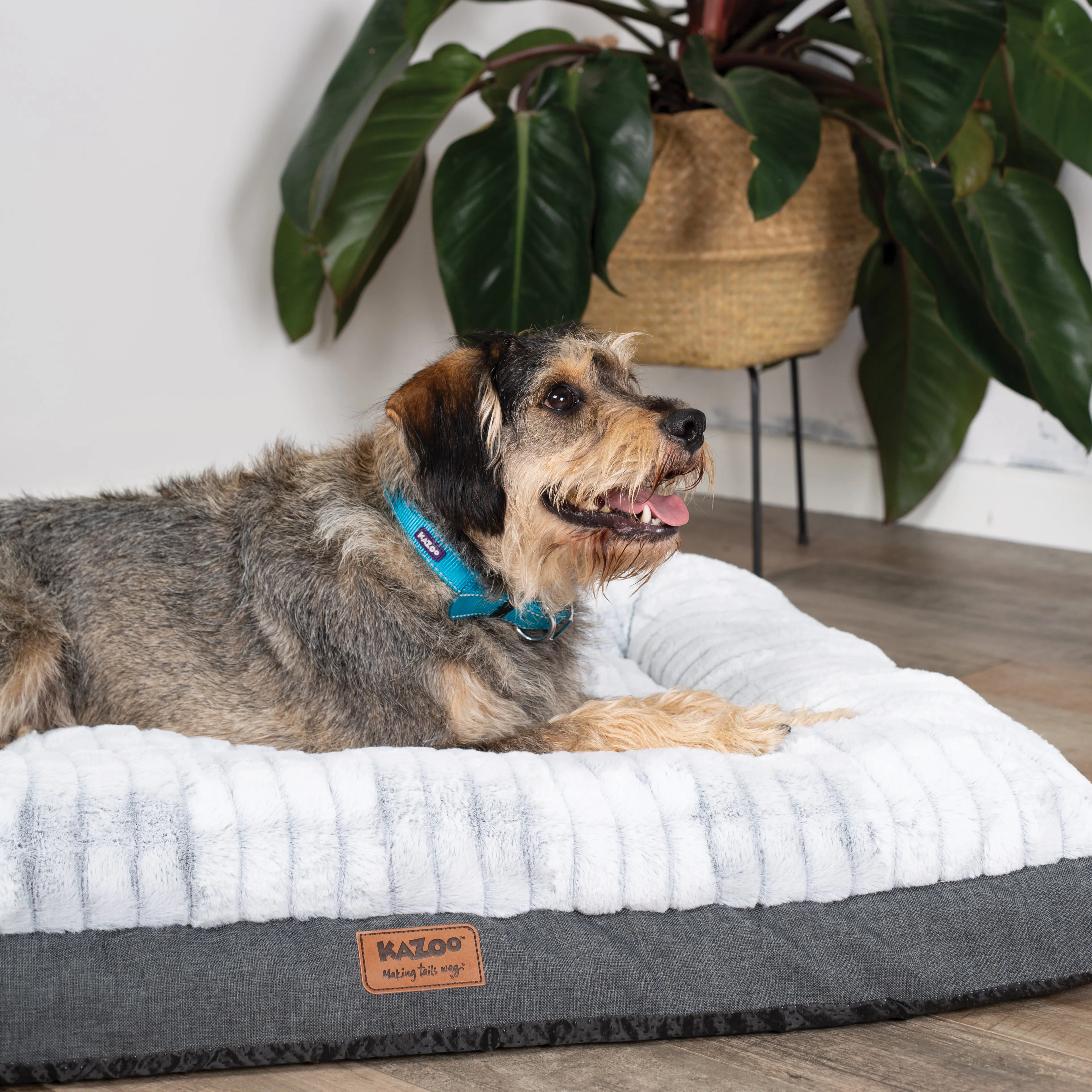 Cloud Comfort Giant Dog Bed