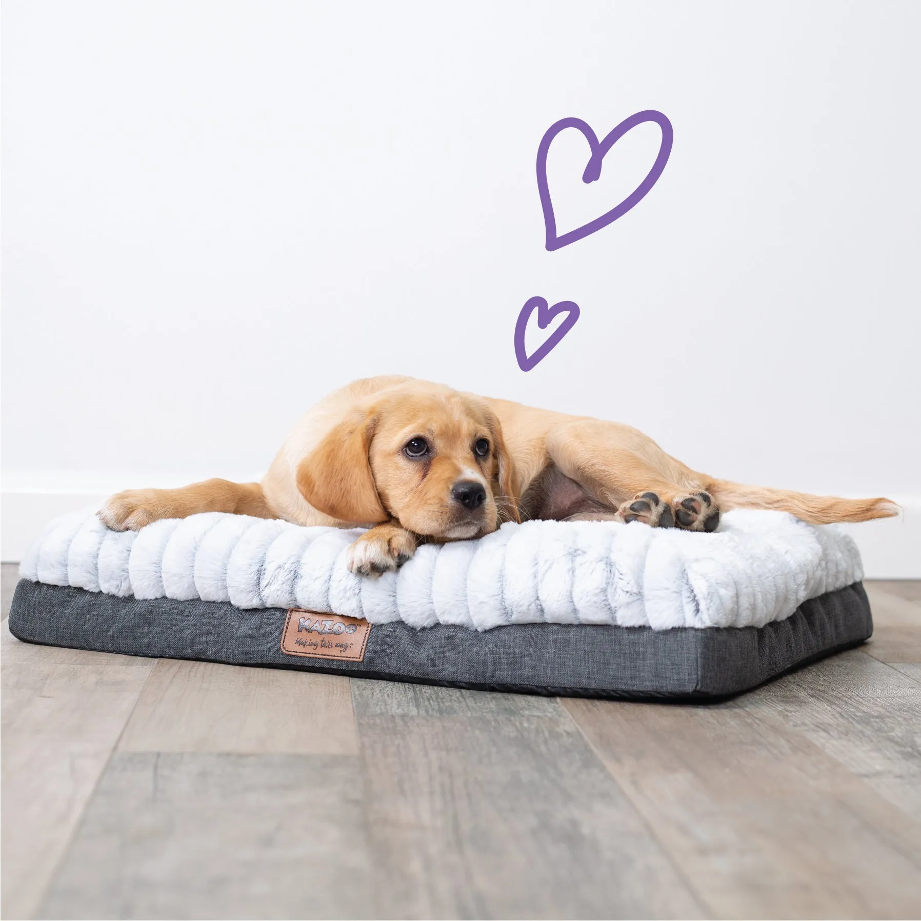 Cloud Comfort Giant Dog Bed