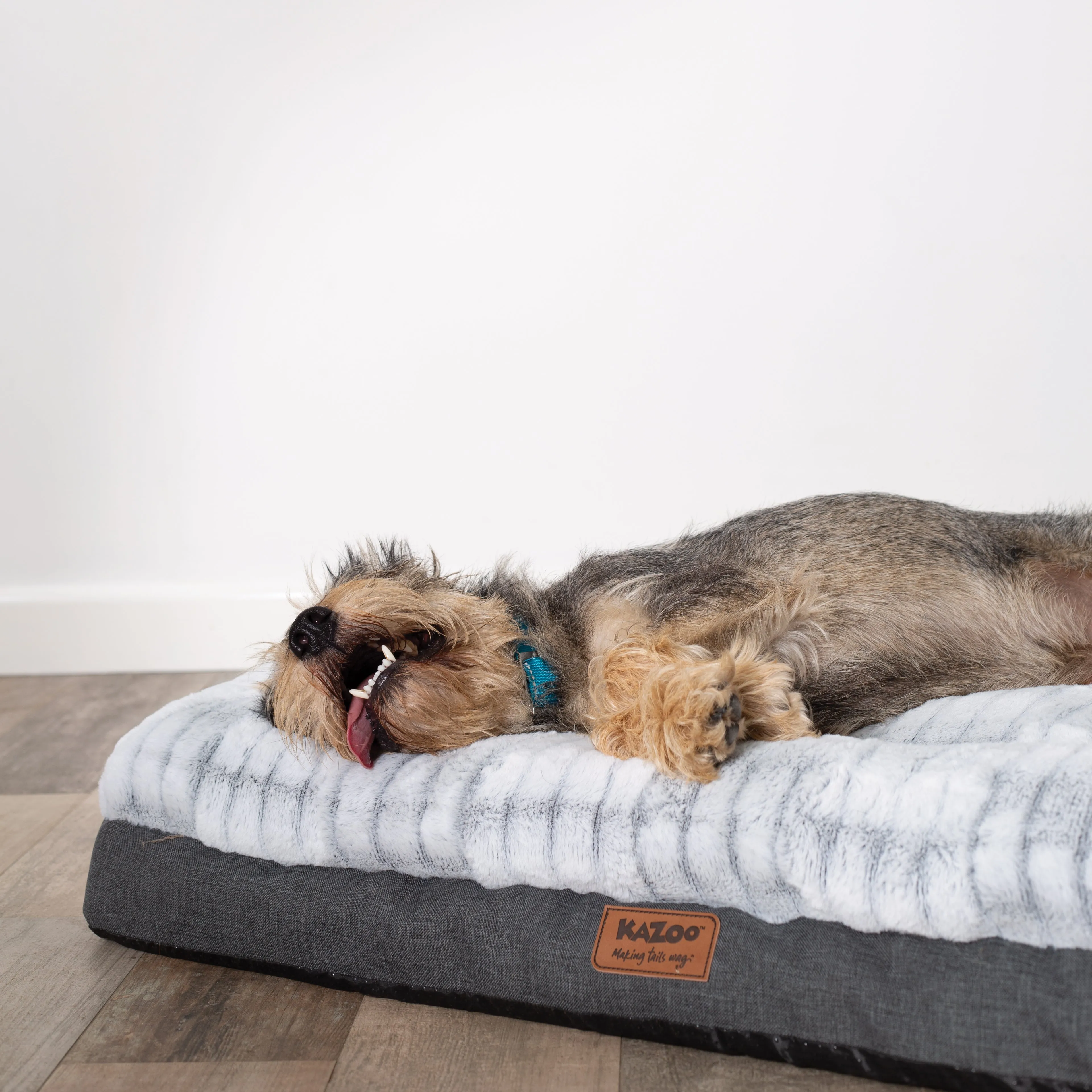 Cloud Comfort Giant Dog Bed
