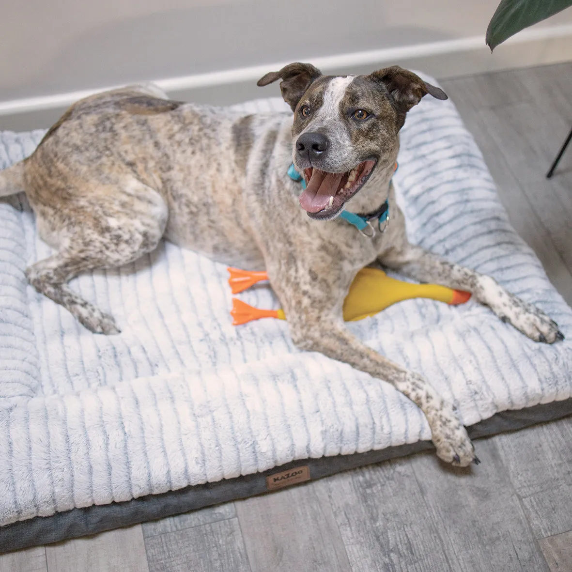 Cloud Comfort Giant Dog Bed