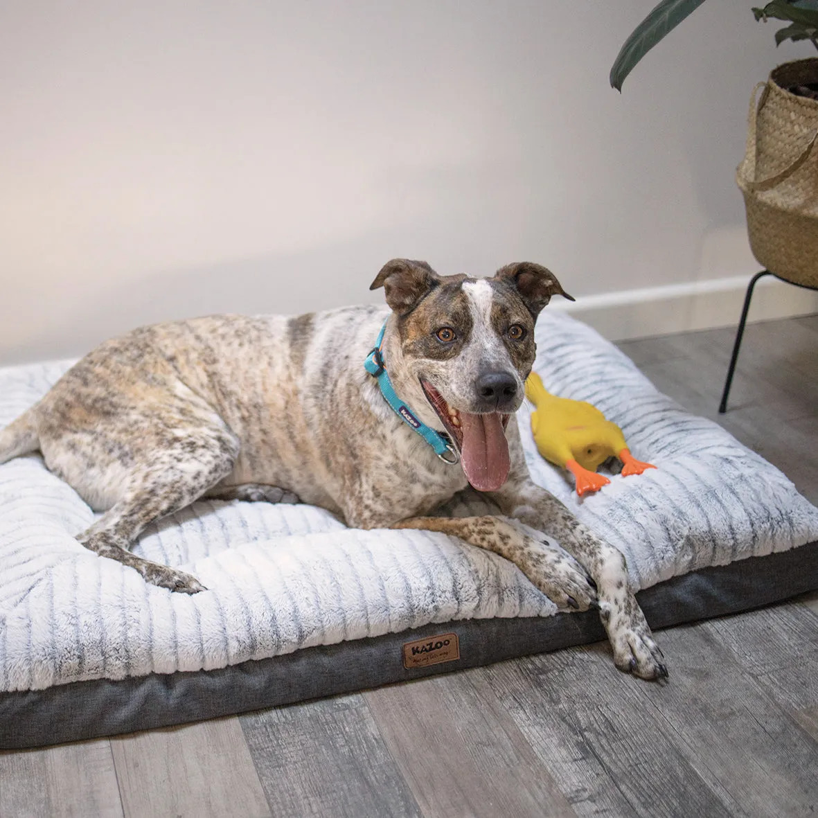 Cloud Comfort Giant Dog Bed