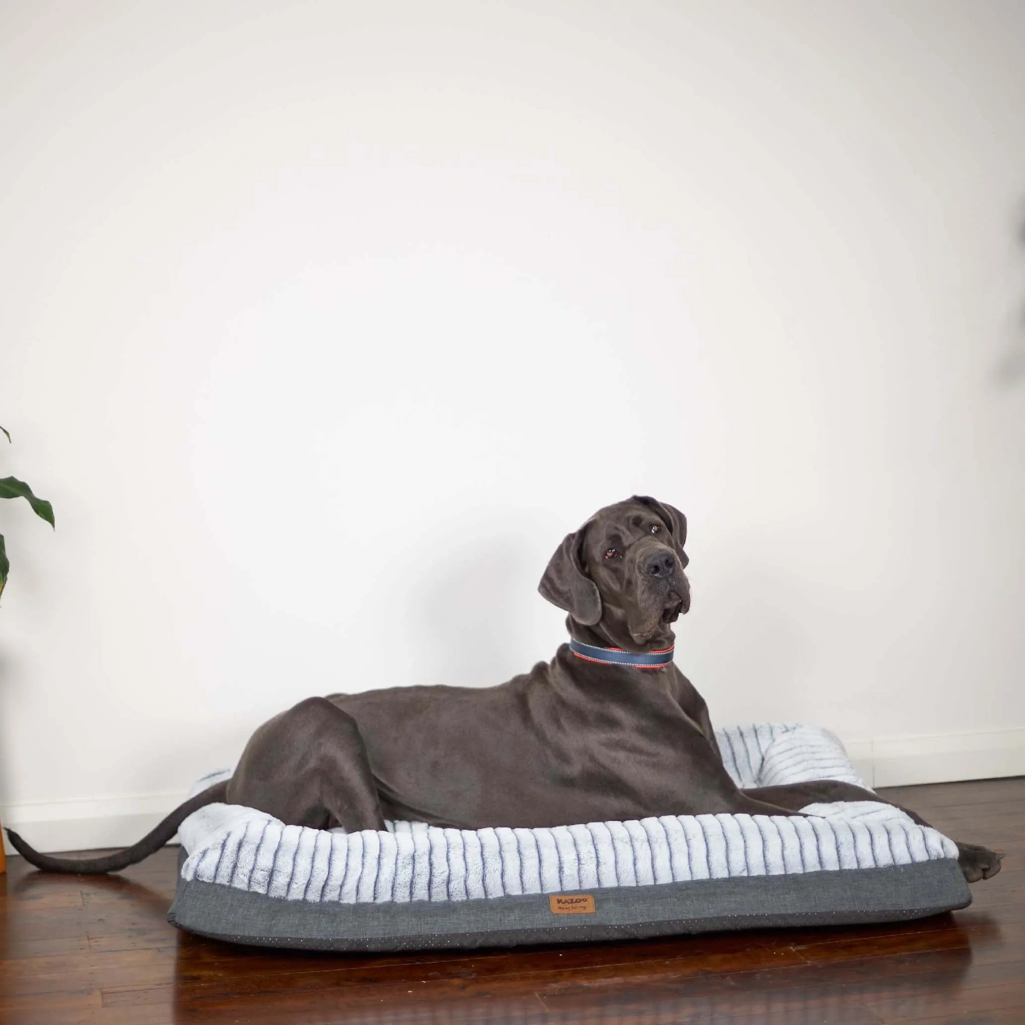 Cloud Comfort Giant Dog Bed