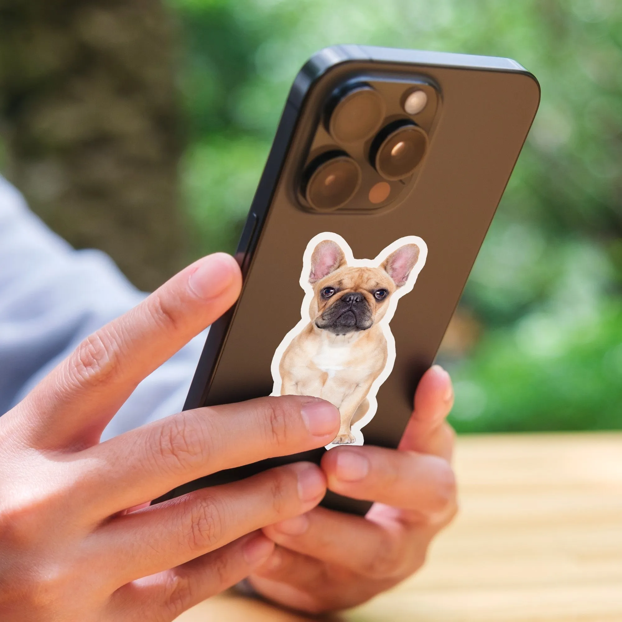 Custom Pet Stickers