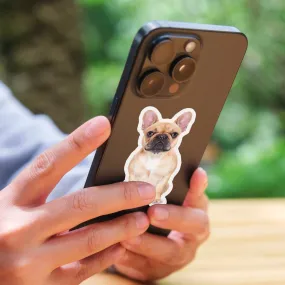 Custom Pet Stickers
