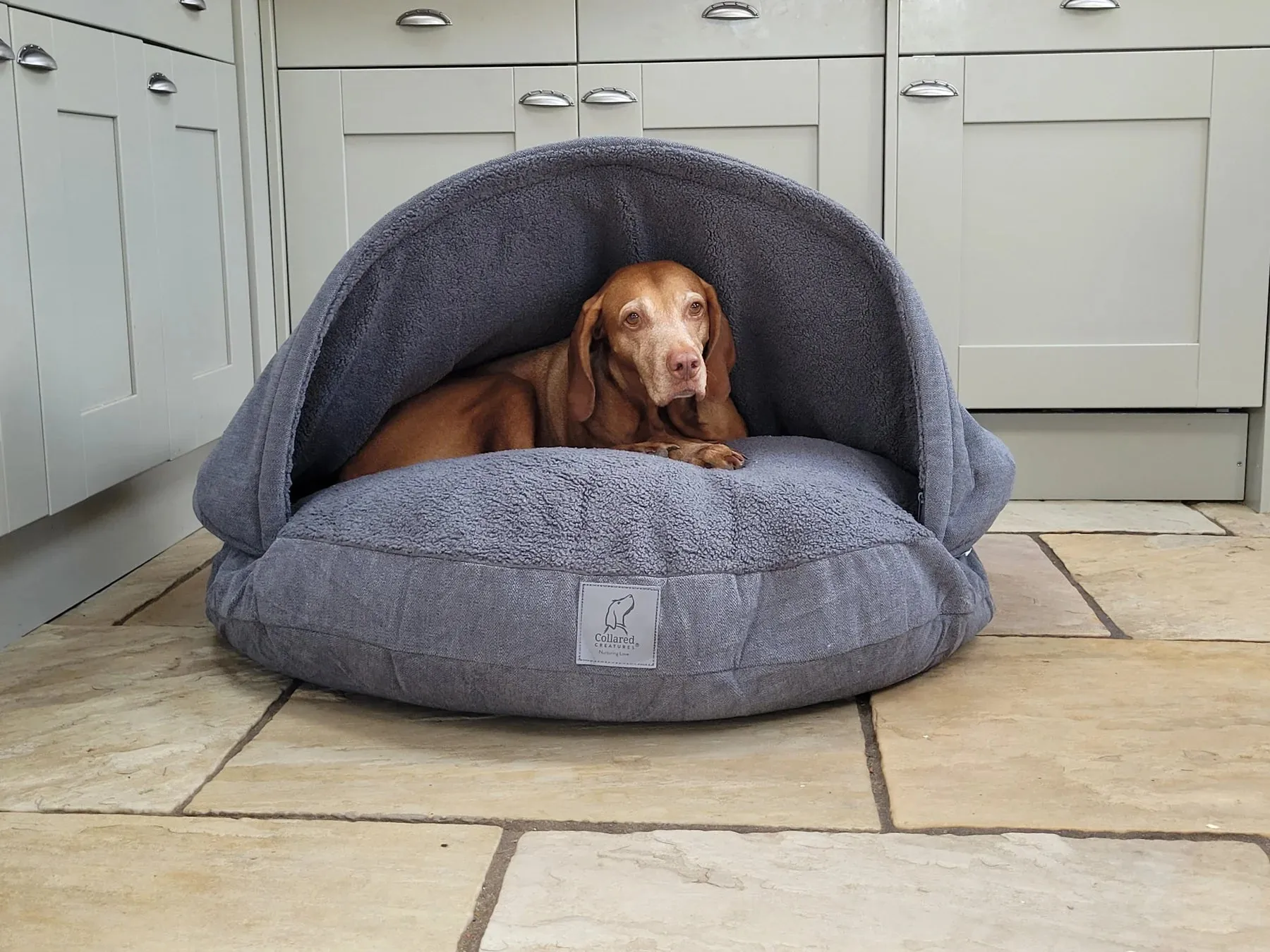 Dog Cave Bed. Discontinued model.