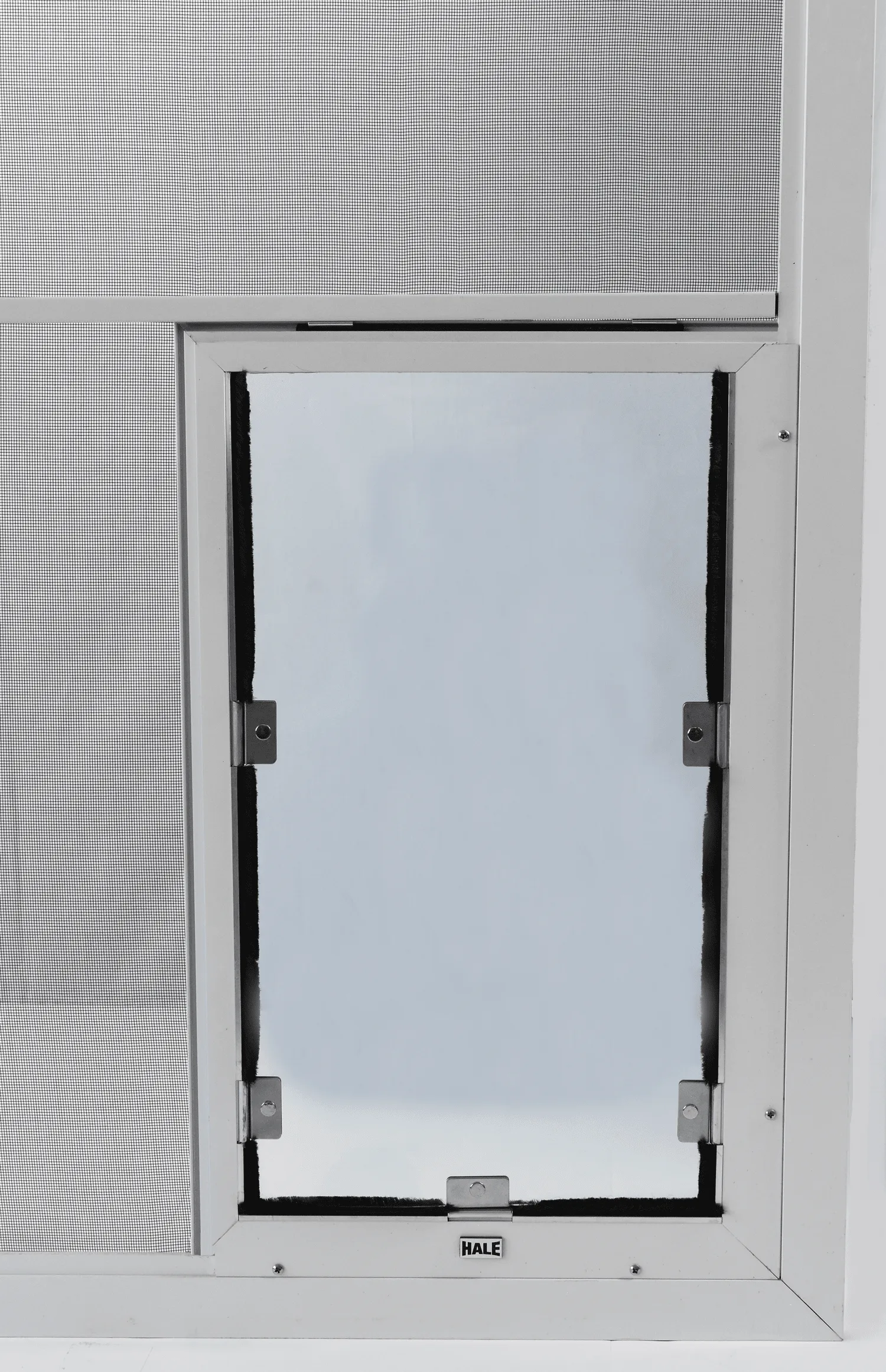Dog Door - Screen Model