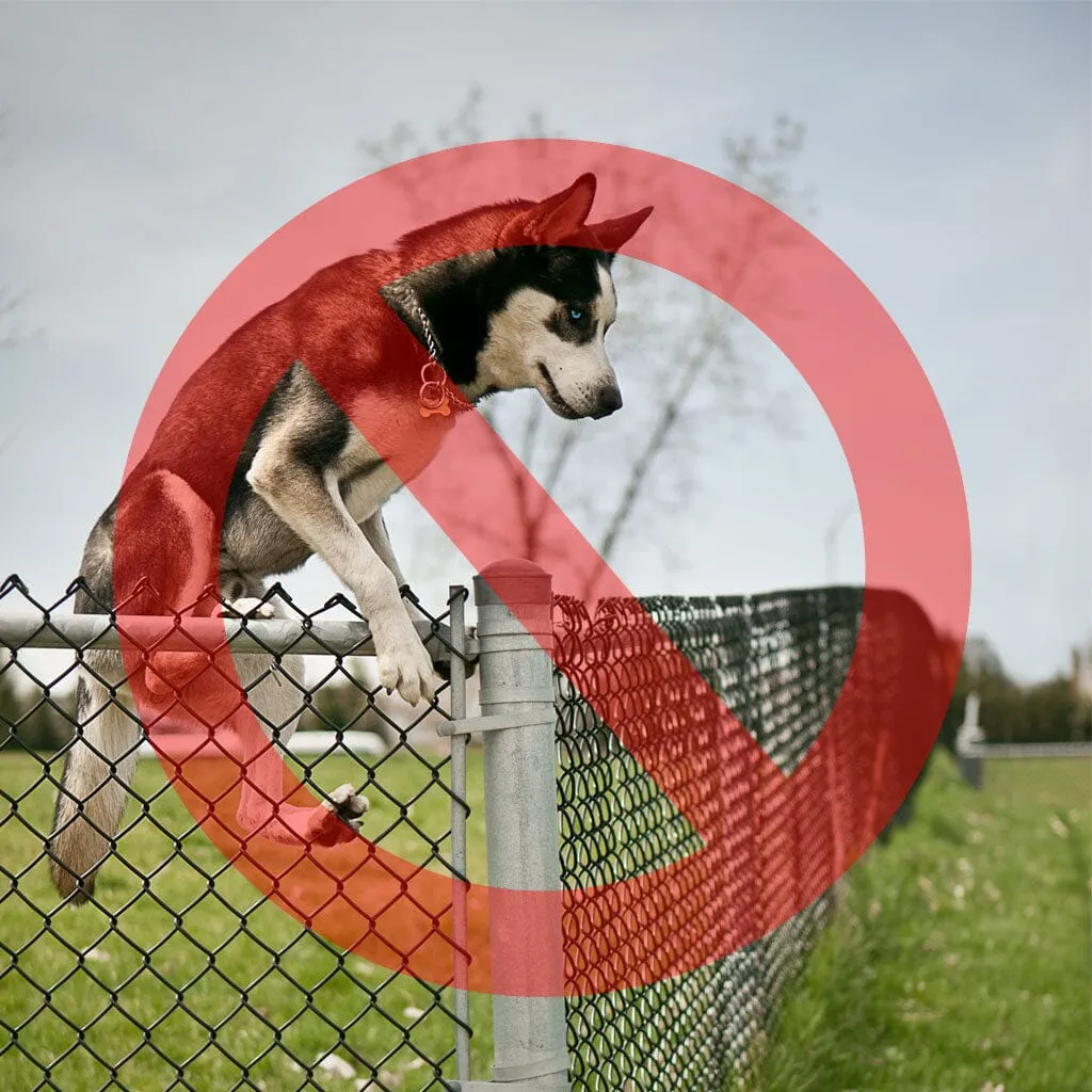 Houdini-Proof Fence Extender for Dogs