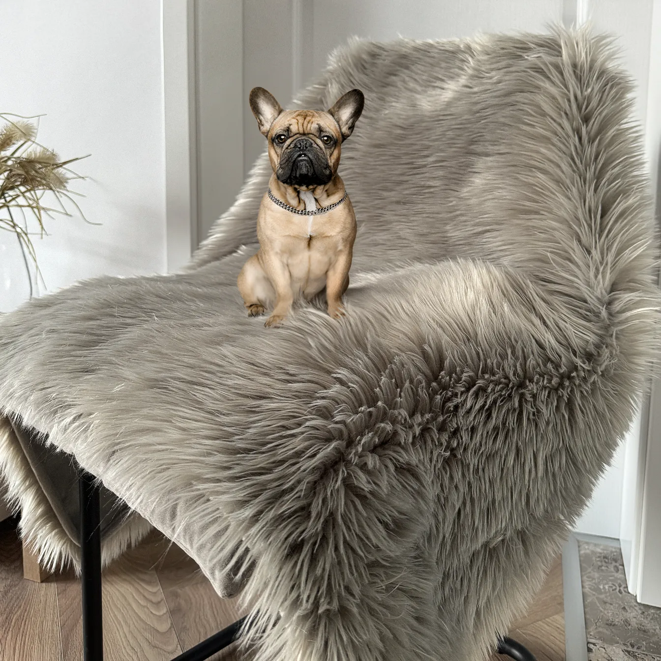 IHAPPYDOG Waterproof Faux Fur Dog Blanket, Plush Throw for Sleeping and Comfort, Couch Cover for Dogs, Pet Bed, Sofa, Car, Furniture Protector with Soft, Stain Resistant Surface, Machine Washable