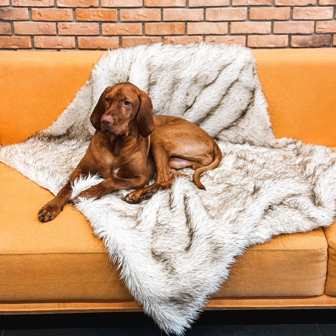 IHAPPYDOG Waterproof Faux Fur Dog Blanket, Plush Throw for Sleeping and Comfort, Couch Cover for Dogs, Pet Bed, Sofa, Car, Furniture Protector with Soft, Stain Resistant Surface, Machine Washable