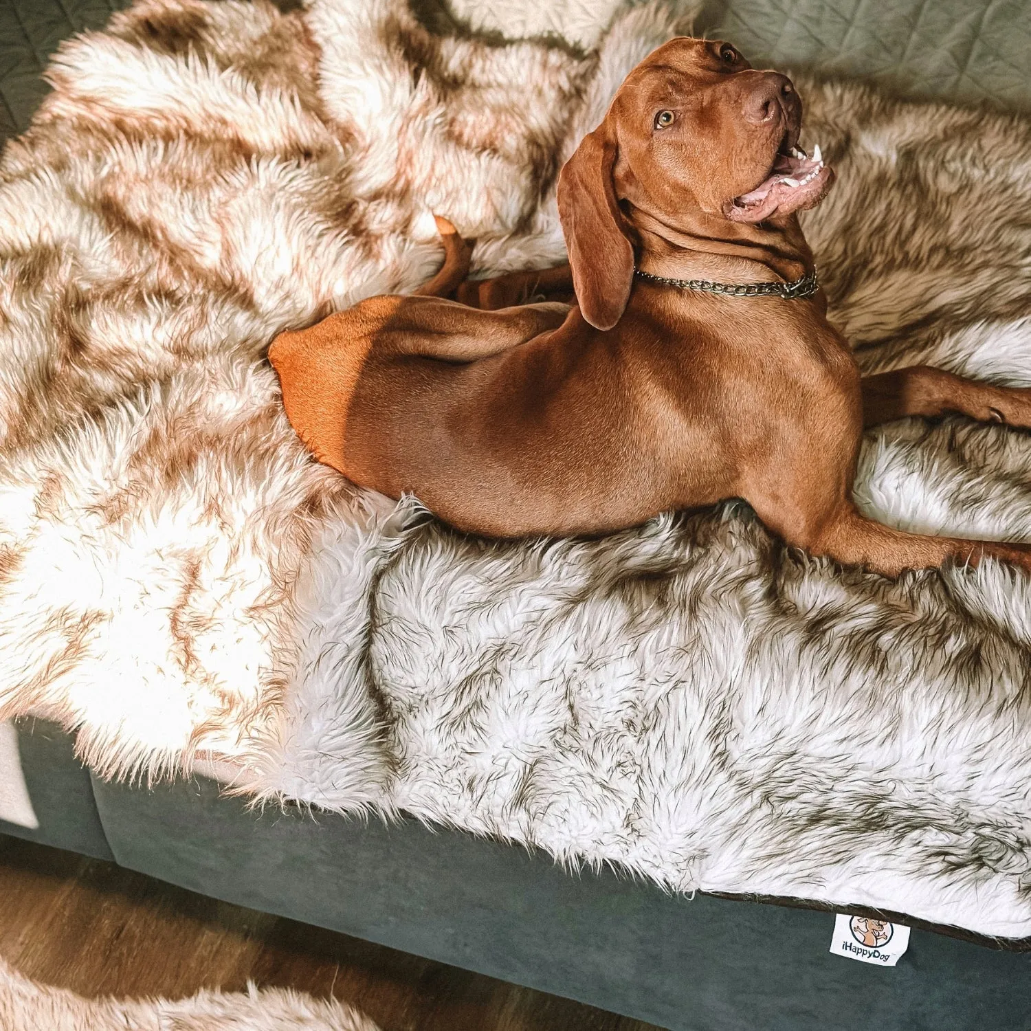 IHAPPYDOG Waterproof Faux Fur Dog Blanket, Plush Throw for Sleeping and Comfort, Couch Cover for Dogs, Pet Bed, Sofa, Car, Furniture Protector with Soft, Stain Resistant Surface, Machine Washable