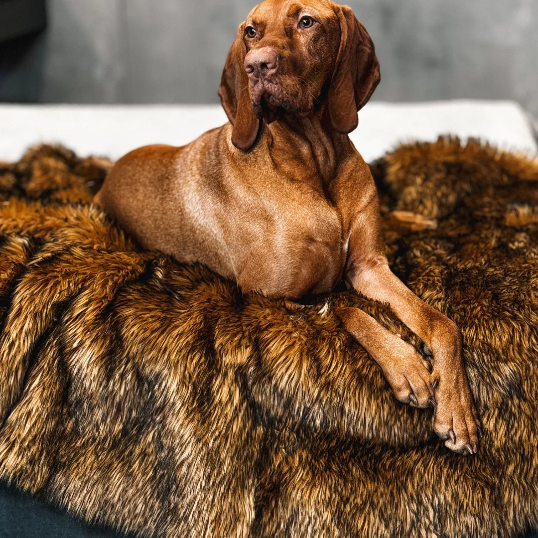 IHAPPYDOG Waterproof Faux Fur Dog Blanket, Plush Throw for Sleeping and Comfort, Couch Cover for Dogs, Pet Bed, Sofa, Car, Furniture Protector with Soft, Stain Resistant Surface, Machine Washable