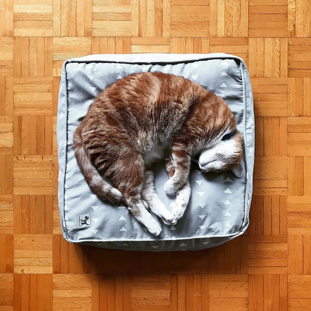 Molly Mutt Dog Bed Duvet - Stuff It Yourself (sizes for cats too!)