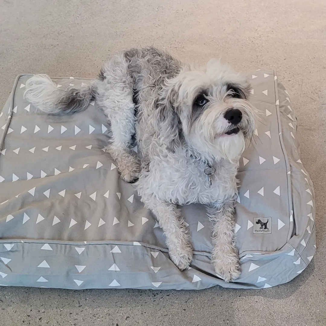 Molly Mutt Dog Bed Duvet - Stuff It Yourself (sizes for cats too!)