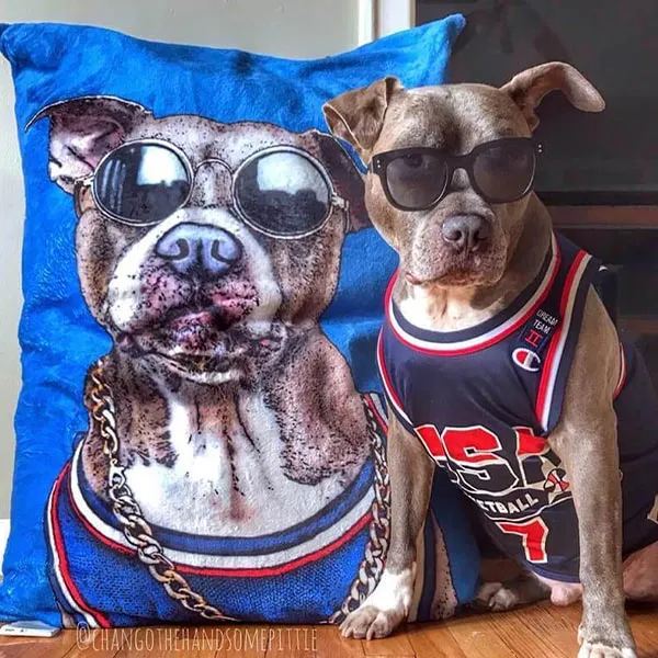 Original Pet Pop Art Dog Bed