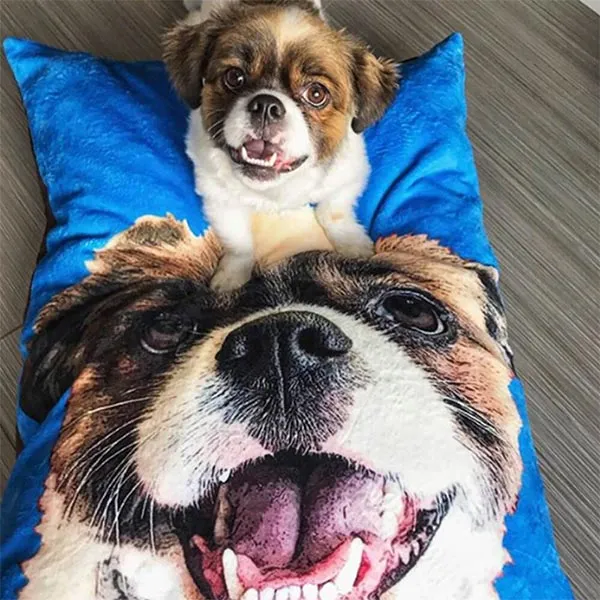 Original Pet Pop Art Dog Bed