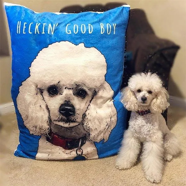 Original Pet Pop Art Dog Bed