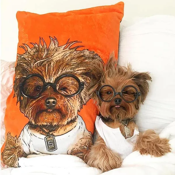 Original Pet Pop Art Dog Bed