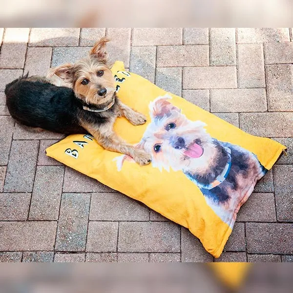 Original Pet Pop Art Dog Bed