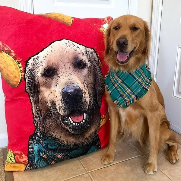Original Pet Pop Art Dog Bed