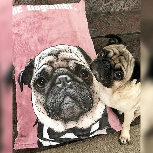 Original Pet Pop Art Dog Bed