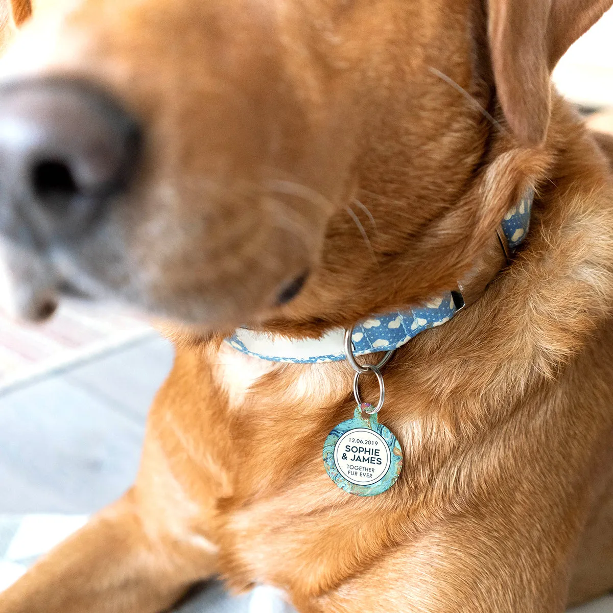 Personalised Marble Wedding Pet Tag