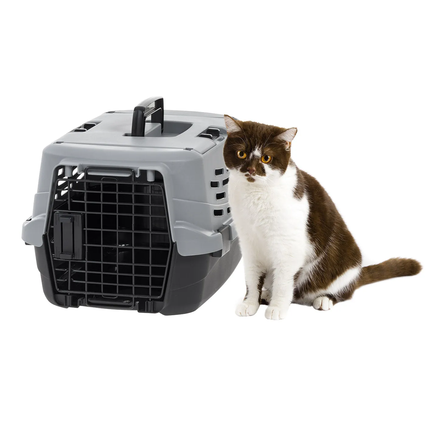 Pet Travel Carrier with Front and Top Access