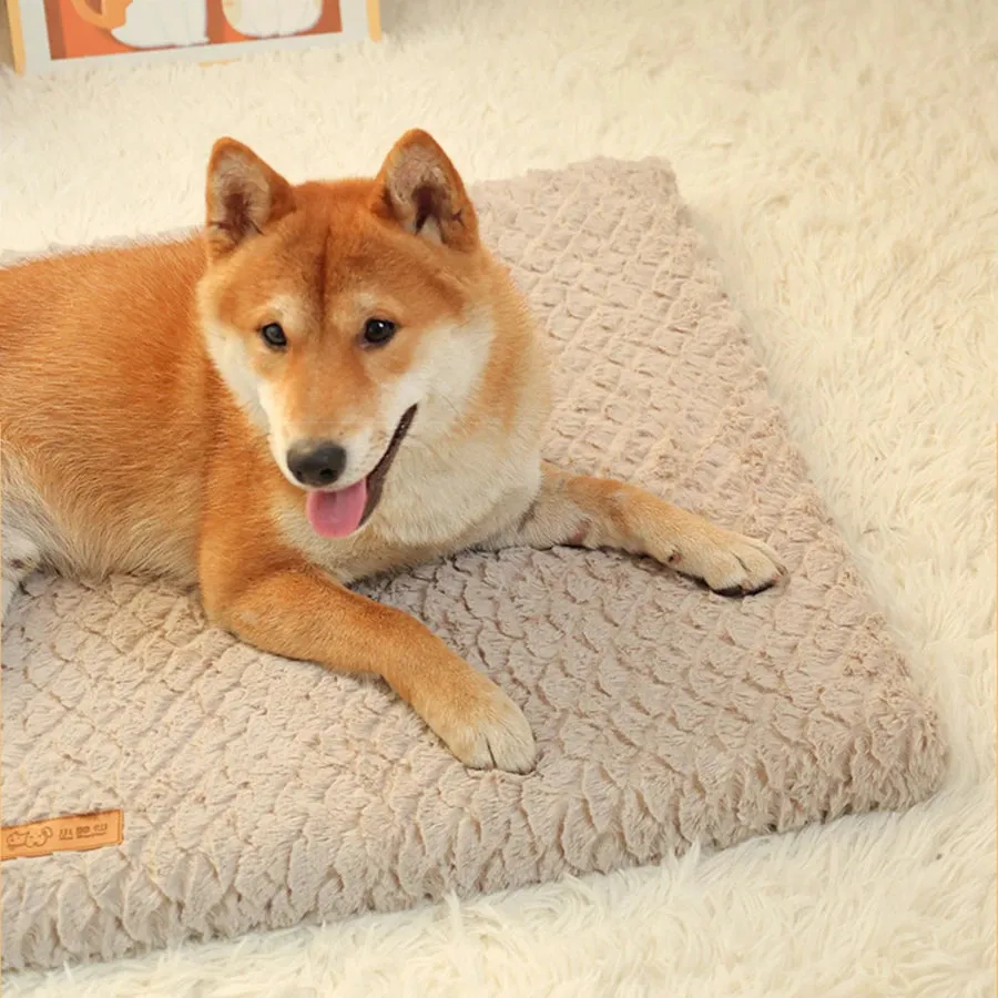 Short Plush Removable Washable Pet Bed, High Elasticity Non-Collapse Dog Bed, Suitable For Small And Medium Dogs and Cats