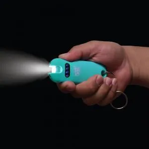 Smart 24,000,000 Keychain Stun Gun