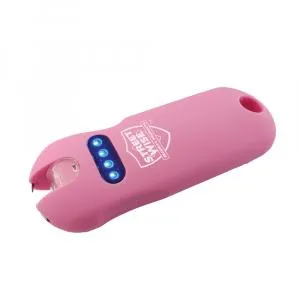 Smart 24,000,000 Keychain Stun Gun
