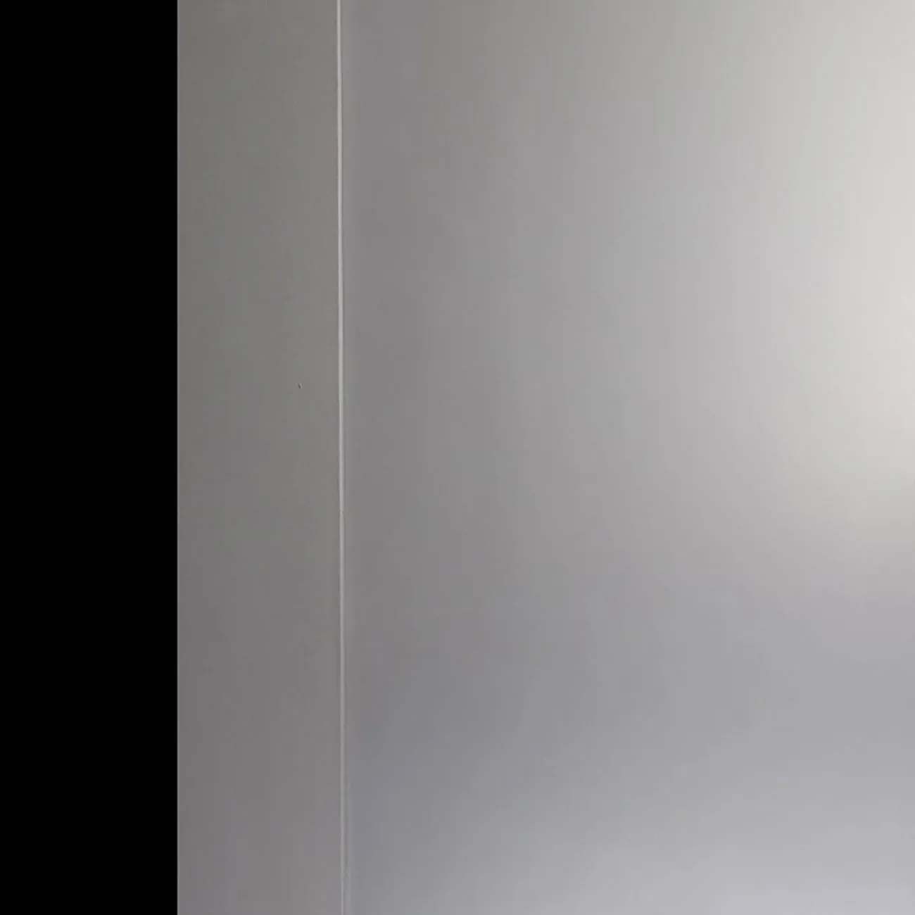 Smart Pro Flat Interior Door in Polar White Finish