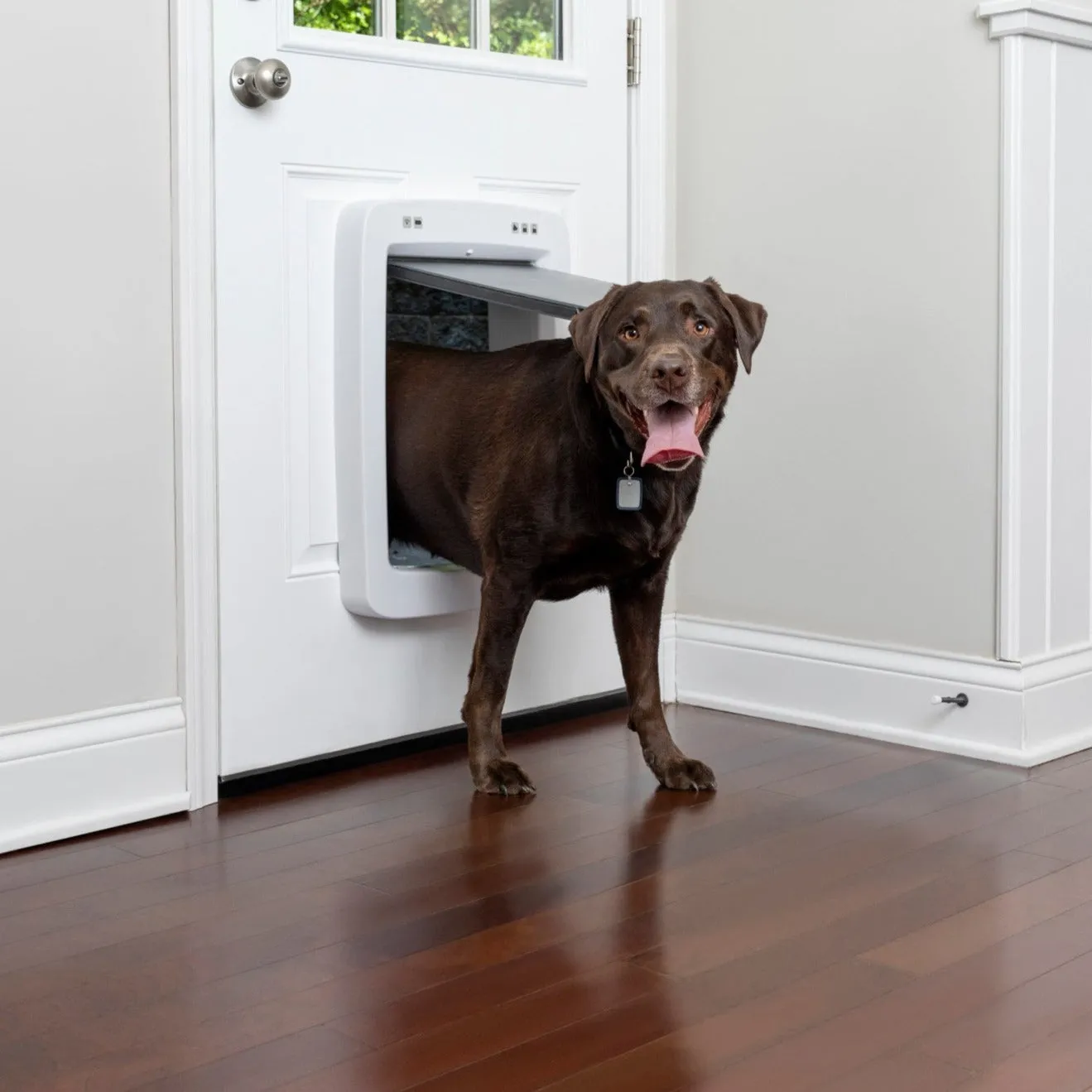 SmartDoor Connected Pet Door