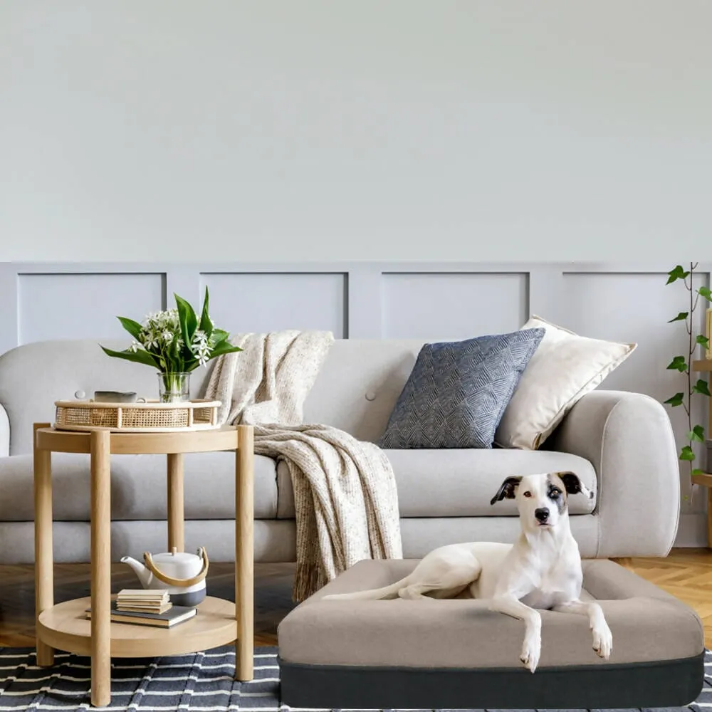 Snooze Pet Bed - Medium | Removable & Washable Cover