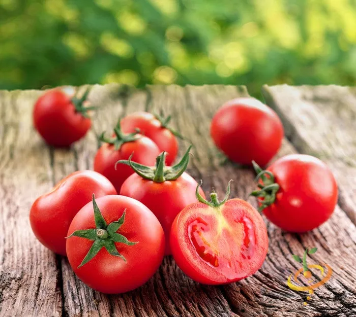 Tomato - Ace 55 (Determinate)