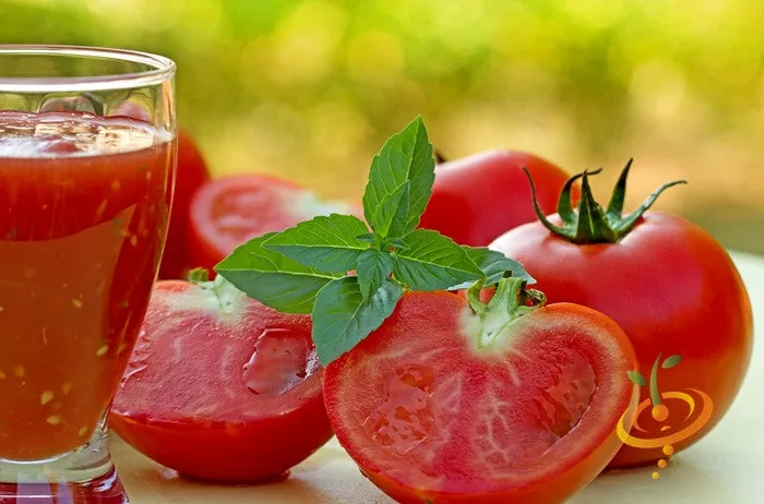 Tomato - Ace 55 (Determinate)